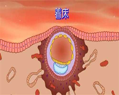 探索海军总医院生殖中心：辅助生殖技术与服务优势