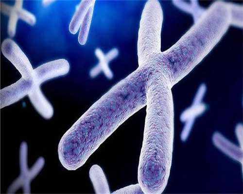 中山专门做试管的医院都是哪些,含2026中山助孕流程