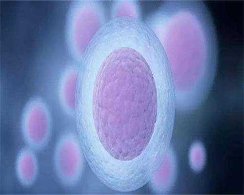 大连助孕公司费用及服务详解