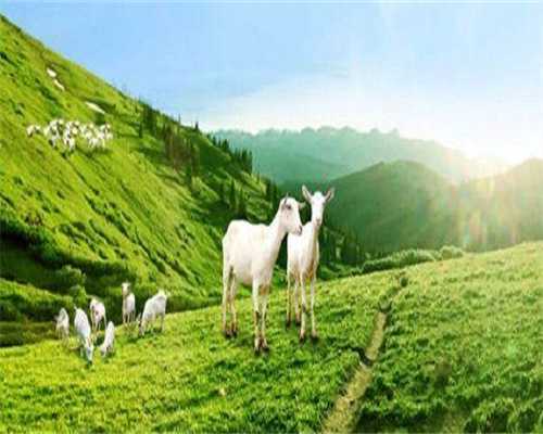 国内试管助孕医疗机构盘点：助您找到最适合的生育伙伴！