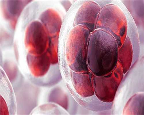 添悦代孕中介_中美泰代孕成功率,你知道试管婴儿技术的出现和意义是什么吗