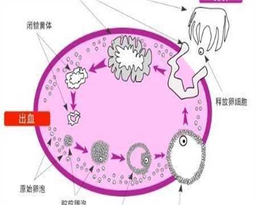 国内有第三方试管助孕吗多少钱一次？
