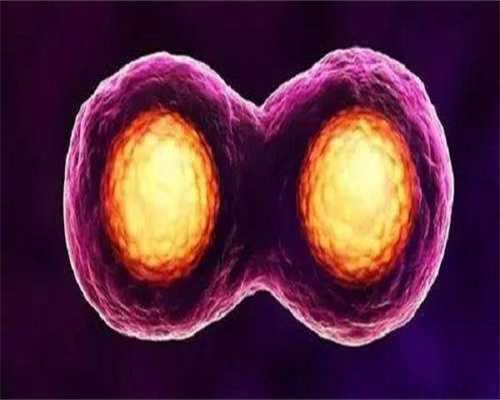  简阳市中医医院供卵做试管婴儿需要花费多少钱？ 