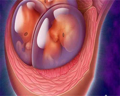 amh0.02数值解读：供卵试管助孕与卵泡质量的关系