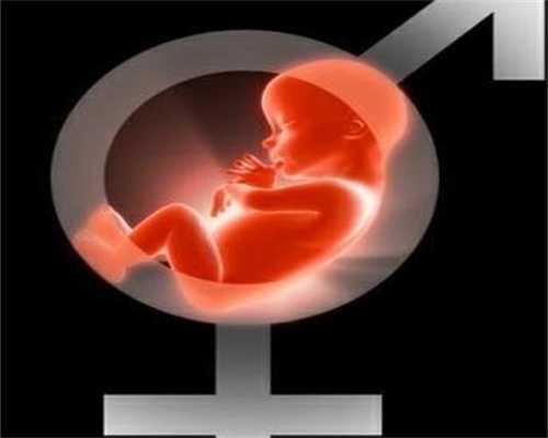 三代试管婴儿助您优生优育：神州中泰代怀孕费用及成功率解析