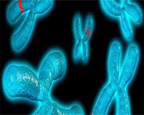 2026拉萨试管婴儿医院排名,2026助孕成功率排行参考