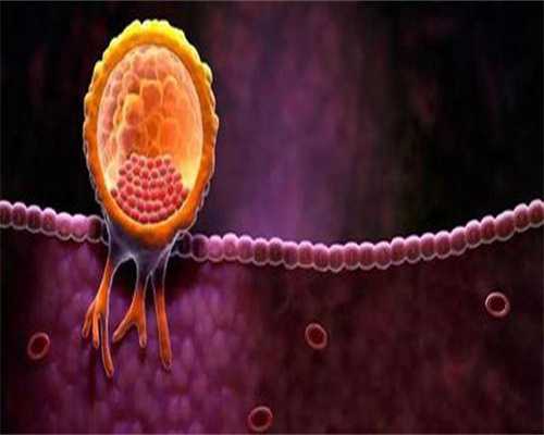 剖析试管助孕的费用构成：费用都包含哪些？