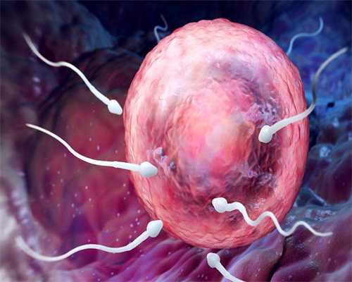 重庆试管助孕机构推荐：探寻理想的最后一个夏日