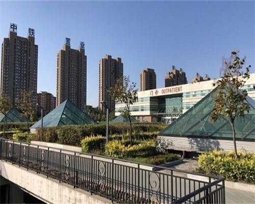 供卵代孕咨询：未婚能否试管婴儿？助孕费用全解析