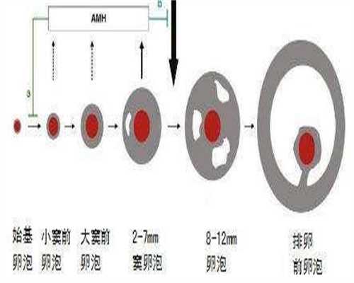 合肥代孕机构报价与南昌试管婴儿费用解析：助您精明规划