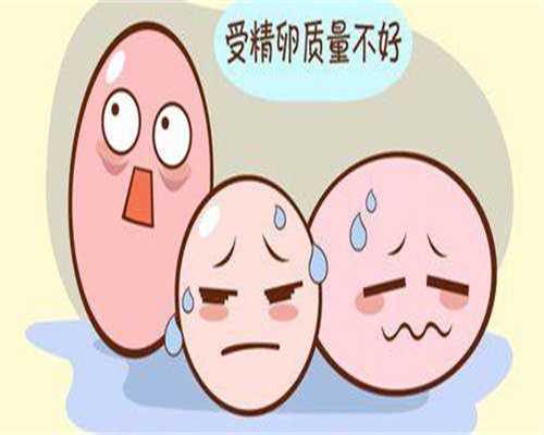 福州人工授精费用及成功率解析：正规医院价格指南