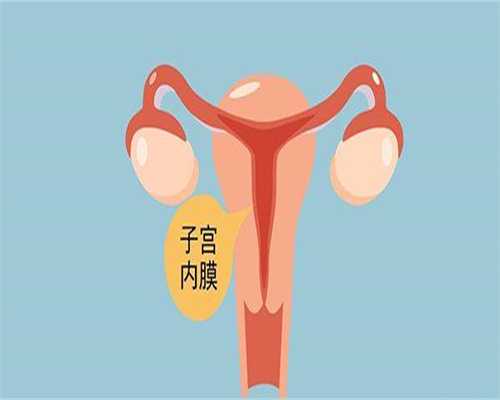  上海十院做一次供卵试管婴儿的总费用要多少？供卵费高吗？ 