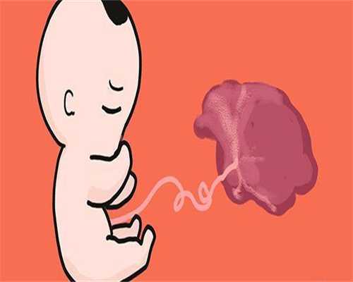 探究试管婴儿费用的构成与项目明细