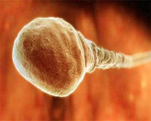 中山正规助孕机构推荐：多家医院助您圆梦生育