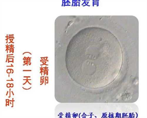 太原获准开展供卵试管助孕的医疗机构探究