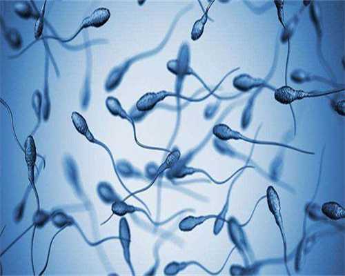 潍坊正规助孕机构及医院指南：为您解析助孕之路