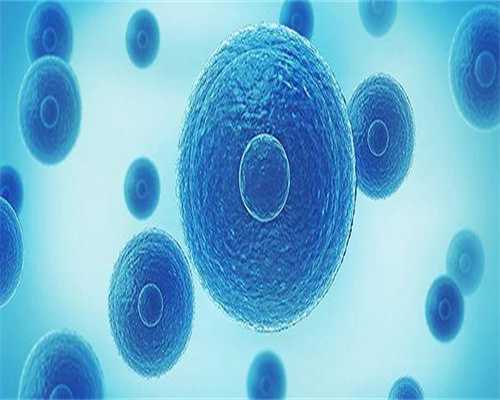 怀孕胎停后多久能做试管？