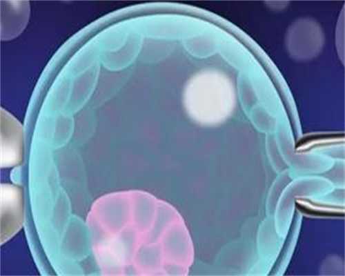 人工授精的出血与成功率：专业解答与全面指南